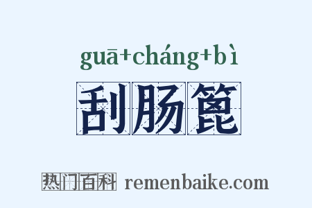 刮肠篦是什么意思的图片